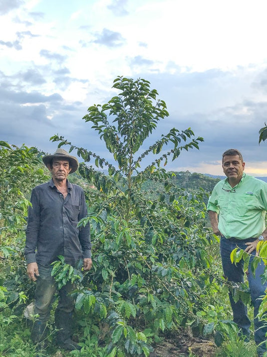 La Cristalina -Colombia