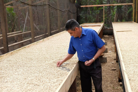 Pedro Sagastume - Honduras