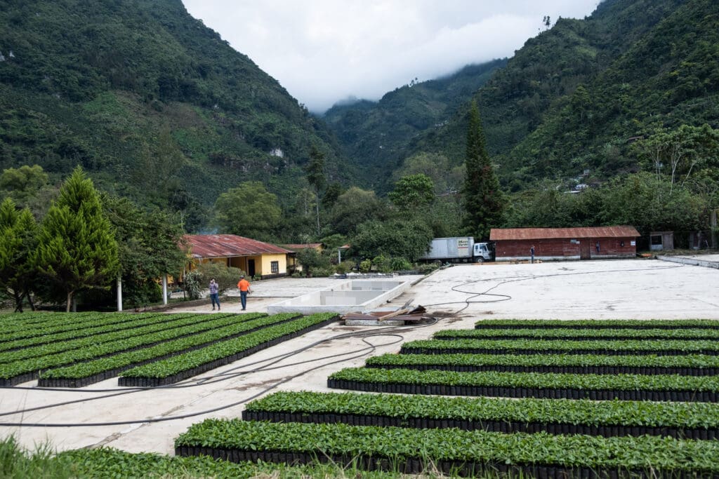 Los Arroyos - Guatemala