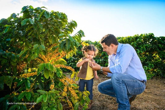 Boqueirão Farm - Brazil
