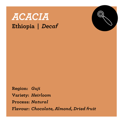 Acacia - Ethiopia