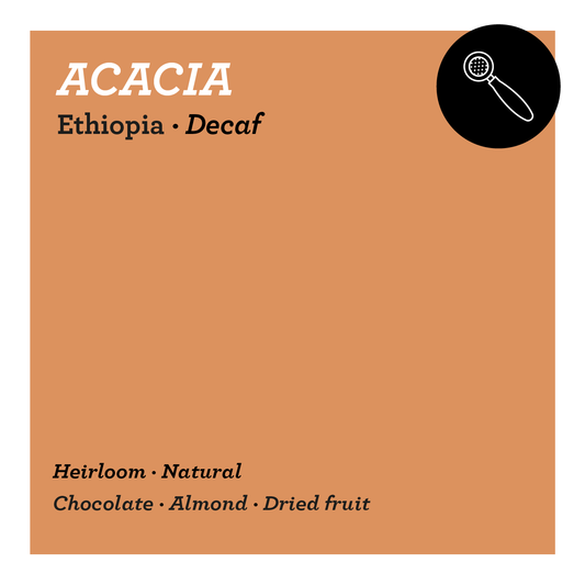 Acacia - Ethiopia
