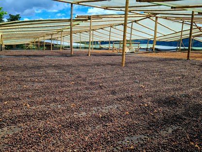 El Puente - Colombia