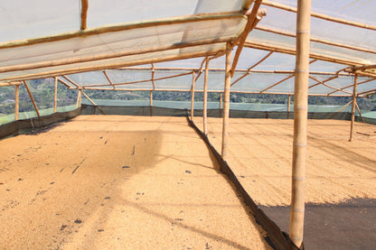 El Puente - Colombia