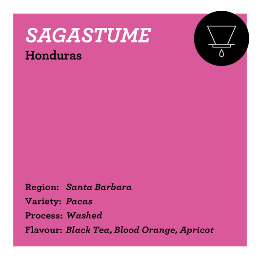 Pedro Sagastume - Honduras