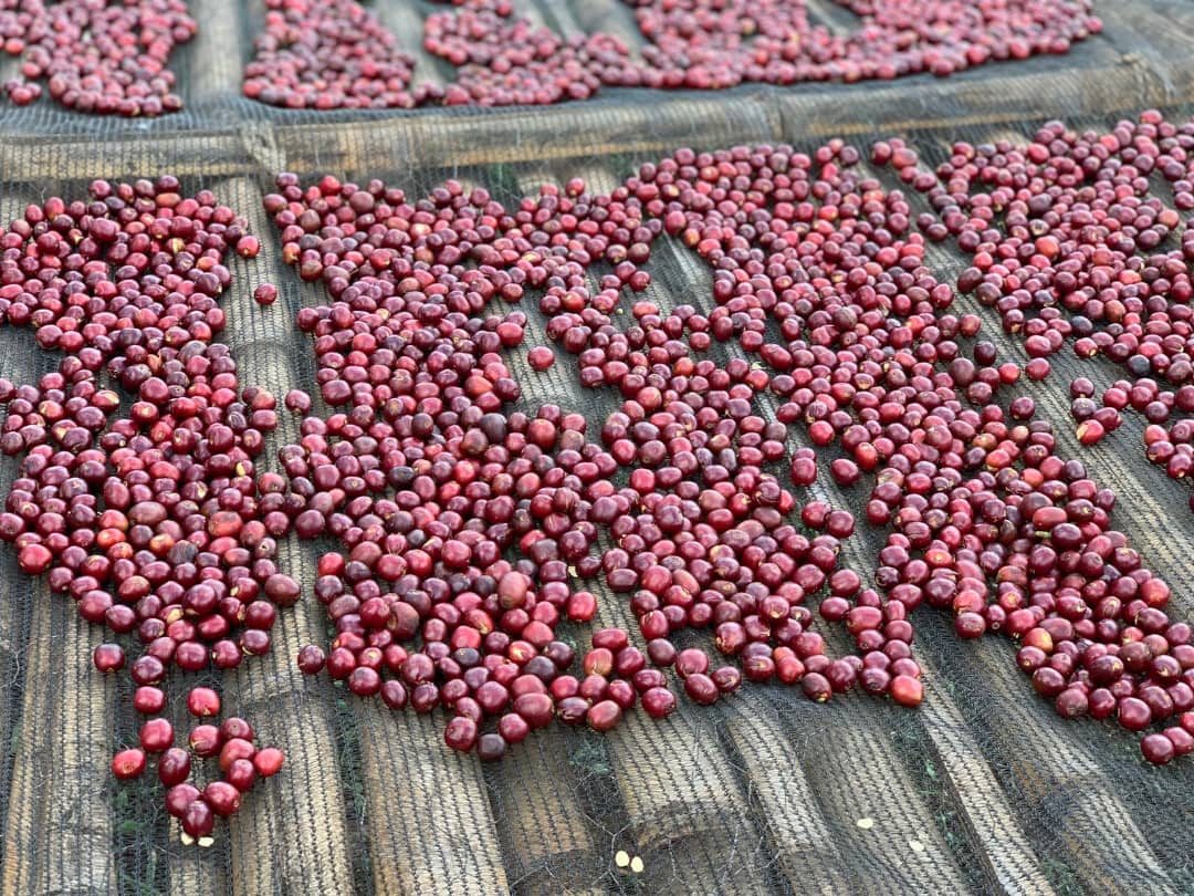 Arbegona - Ethiopia
