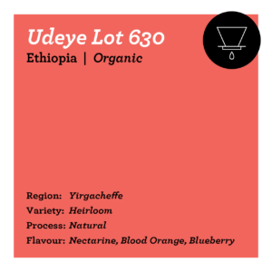 Udeye Lot 630 - Ethiopia