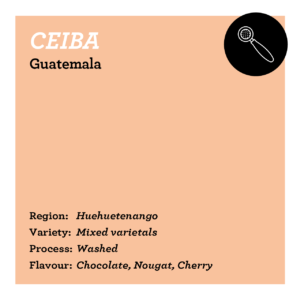 Ceiba - Guatemala