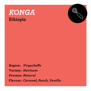Konga - Ethiopia